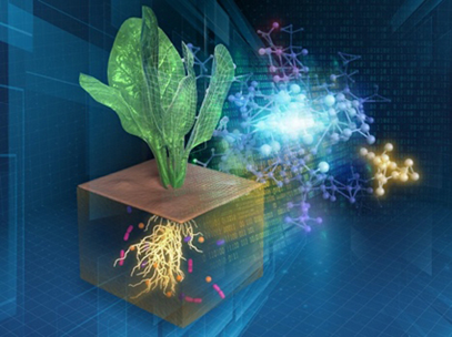 农业生态数字化，理研与福岛大学合作构筑植物—微生物—土壤复杂关系网络