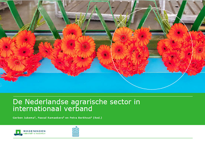 荷兰农产品的国际影响和地位（荷兰中央统计局报告解读）