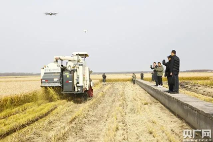 碧桂园与北大荒共建全球首个超万亩无人化农场