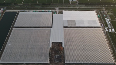 中国上海首个半封闭温室产业园即将建设完工