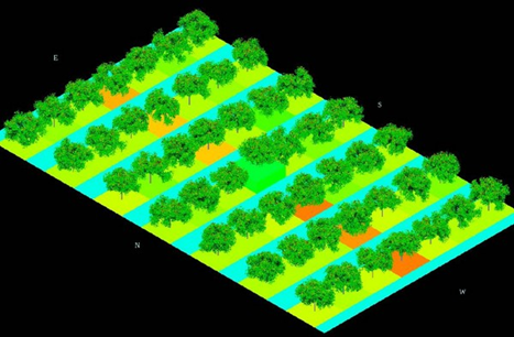 对真实果园进行计算机建模和复制以增加粮食产量