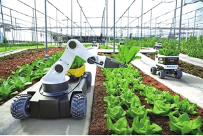农业机器人：全球农民的革命性工具